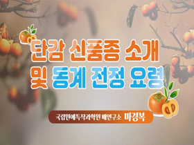 [썸네일 이미지] 단감 신품종 소개 및 동계 전정 요령 