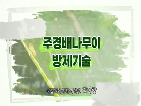 [썸네일 이미지] 주경배나무이 방제기술 