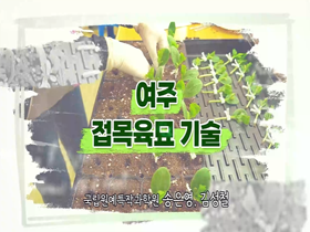 [썸네일 이미지] 여주 접목육묘 기술 