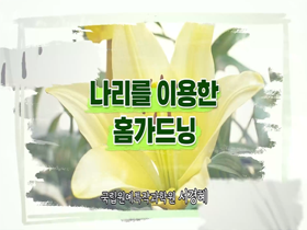 [썸네일 이미지] 나리를 이용한 홈가드닝