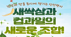 [썸네일 이미지] 새싹삼과 컵과일의 새로운 조합!