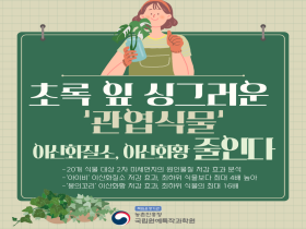 [썸네일 이미지]  초록 잎 싱그러운 '관엽식물' 이산화질소, 이산화황 줄인다