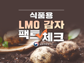 [썸네일 이미지] 식품용 LMO감자 팩트체크