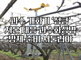[썸네일 이미지] 과수 개화기 ‘성큼’ …저온 대응·과수화상병 방제 준비 서둘러야