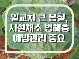 [썸네일 이미지] 일교차 큰 봄철, 시설채소 병해충 예방관리 중요