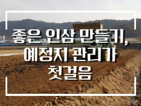 [썸네일 이미지] 좋은 인삼 만들기, 예정지 관리가 첫걸음