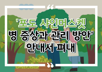 [썸네일 이미지] '포도 샤인머스켓 병 증상과 관리 방안' 안내서 펴내