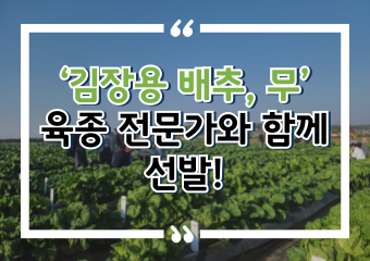 [썸네일 이미지] ‘김장용 배추, 무’ 육종 전문가와 함께 선발!
