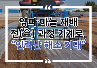 [썸네일 이미지] 양파·마늘 재배 전(全) 과정 기계로, “인력난 해소 기대”