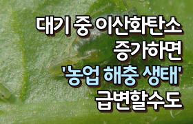 [썸네일 이미지] 대기 중 이산화탄소 증가하면 ‘농업 해충 생태’ 급변할 수도