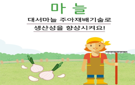 [썸네일 이미지] 대서 마늘, 주아재배기술로 더 많이 수확해요!