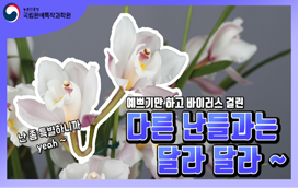 [썸네일 이미지] 다른 난들과는 난 달라 달라
