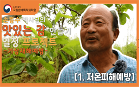 [썸네일 이미지] 맛있는 감 만들기 열!정! 프로젝트 1탄 -저온피해예방