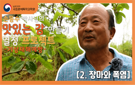 [썸네일 이미지] 맛있는 감 만들기 열!정! 프로젝트2탄-장마와 폭염