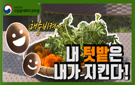 [썸네일 이미지] 해충비켜! 학교텃밭 친환경방제제 만들기
