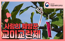 [썸네일 이미지] 사랑의 훼방꾼, 교미교란제