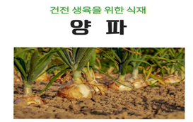 [썸네일 이미지] 양파를 재배해봅시다!