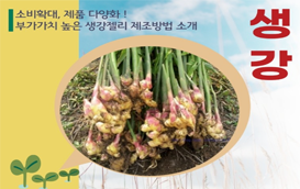 [썸네일 이미지] 생강으로 젤리를 만든다구요?