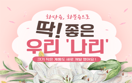 [썸네일 이미지] 화단용, 화분용으로 딱 좋은 우리 ‘나리’ 품종 추천