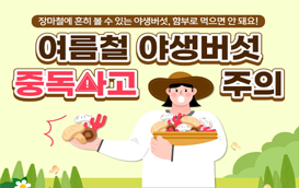 [썸네일 이미지] 여름철 야생버섯 섭취에 의한 중독사고 주의