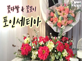 [썸네일 이미지] 포인세티아 활용 꽃다발, 꽃꽂이 만들기 