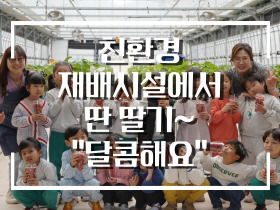 [썸네일 이미지] 친환경 재배시설에서 딴 딸기~ "달콤해요"