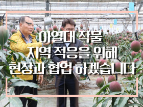 [썸네일 이미지] 아열대 작물 지역 적응을 위해 현장과 긴밀히 협업하겠습니다