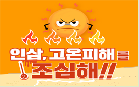 [썸네일 이미지] 인삼, 고온피해를 조심해! -인삼 고온피해 증상과 경감대책
