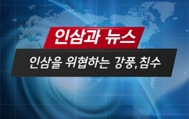 [썸네일 이미지] 인삼을 위협하는 강풍, 침수 피해와 경감대책을 알아봅시다!