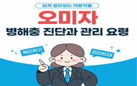[썸네일 이미지] 면역력 높여주는 팔방미인 약용작물 '오미자' 병해충 진단과 관리요령