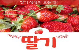 [썸네일 이미지]  딸기 생장의 모든 것을 알려드립니다!