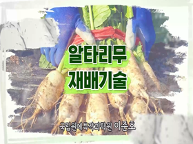 [썸네일 이미지] 알타리무 재배기술 