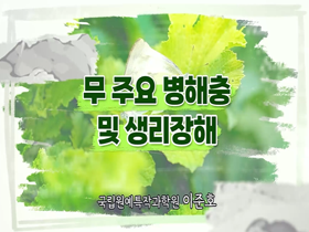 [썸네일 이미지] 무 주요 병해충 및 생리장해