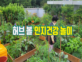 [썸네일 이미지] 허브 볼 인지건강 놀이