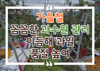 [썸네일 이미지] 가을철 꼼꼼한 과수원 관리 이듬해 과일 품질 높여