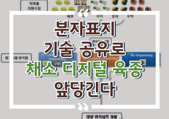 [썸네일 이미지] 분자표지 기술 공유로 채소 디지털 육종 앞당긴다