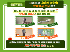 [썸네일 이미지] 사과·배 꽃 피기 전 방제, 과수화상병 예방 효과 높아