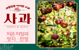 [썸네일 이미지] 사과 저온저장시 주의점과 사과나무 정지·전정 방법을 알려드립니다!