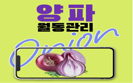 [썸네일 이미지] 양파 월동 관리법을 알려드립니다!