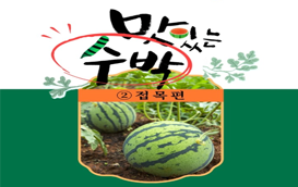 [썸네일 이미지] 맛있는 수박 기르기 2.접목편