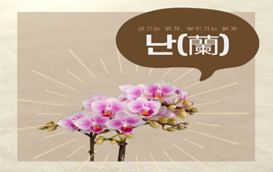 [썸네일 이미지] 반려식물 '난'의 매력, 꽃 감상에 공기정화는 덤