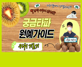 [썸네일 이미지] 궁금타파 원예가이드 '키위기르기'