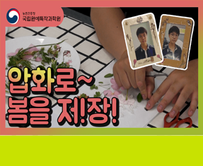 [썸네일 이미지] 압화로 ~ 봄을 저!장!