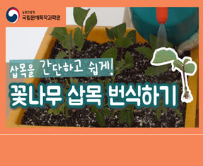 [썸네일 이미지] 꽃나무 삽목을 간단하고 쉽게!