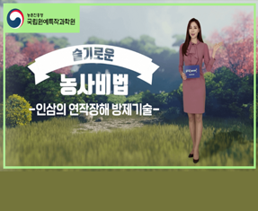 [썸네일 이미지] 인삼의 연작장해 방제기술