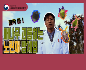 [썸네일 이미지] 꼼짝 마! 배나무 괴롭히는 노린재 방제법