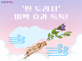 [썸네일 이미지] ‘찐 도라지’ 미백 효과 톡톡