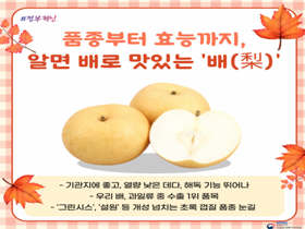 [썸네일 이미지] 품종부터 효능까지, 알면 배로 맛있는 ‘배(梨)’