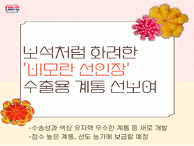 [썸네일 이미지] 보석처럼 화려한 '비모란 선인장' 수출용 계통 선보여 