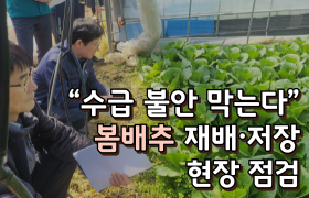 [썸네일 이미지] “수급 불안 막는다” 봄배추 재배·저장 현장 점검
